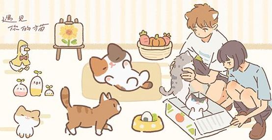 《遇见你的猫》猫图鉴汇总