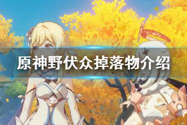 《原神》野伏众掉落物介绍 野伏众掉落什么