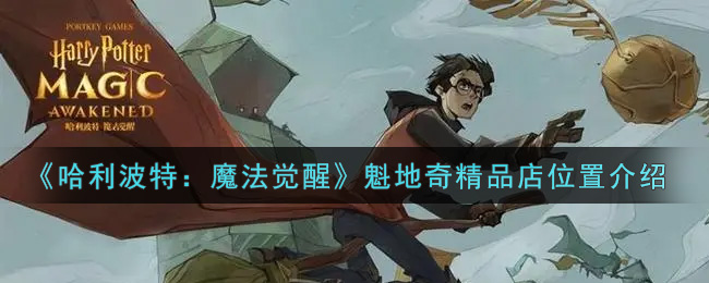 《哈利波特：魔法觉醒》魁地奇精品店位置分享