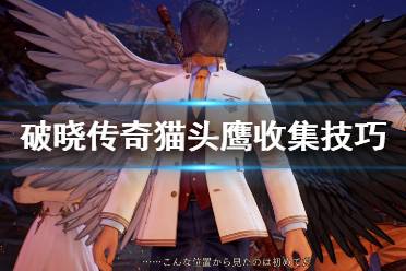 《破晓传说》猫头鹰怎么找