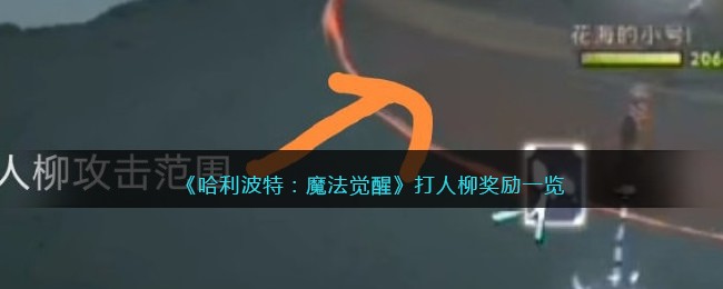 《哈利波特：魔法觉醒》打人柳奖励一览