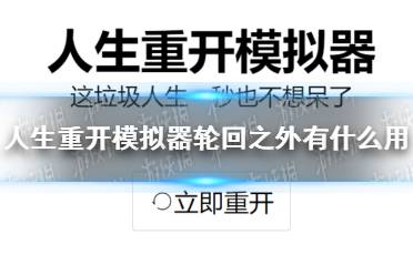 《人生重开模拟器》轮回之外有什么用 轮回之外作用介绍