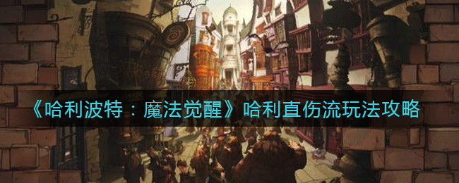 《哈利波特：魔法觉醒》哈利直伤流玩法分享