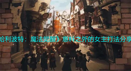 《哈利波特：魔法觉醒》意料之外的女主打法分享