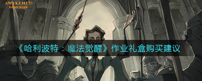 《哈利波特：魔法觉醒》作业礼盒购买推荐