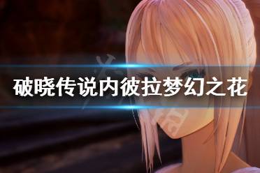 《破晓传说》内彼拉梦幻之花任务怎么做