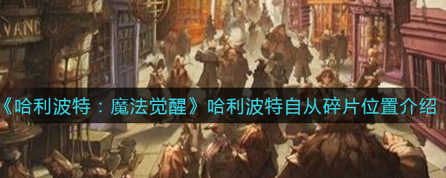 《哈利波特：魔法觉醒》哈利波特自从碎片位置分享