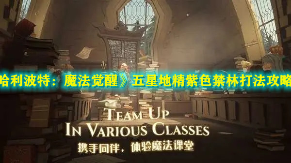 《哈利波特：魔法觉醒》五星地精紫色禁林打法攻略