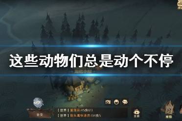 《哈利波特魔法觉醒》这些动物们总是动个不停 巧克力蛙9.20位置