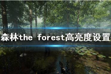 《森林》游戏亮度怎么提高