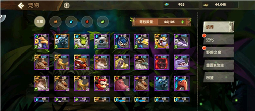 《疯狂原始人2》SSR宠物选择攻略