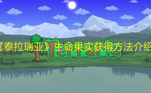 《泰拉瑞亚》生命果实获得方法介绍