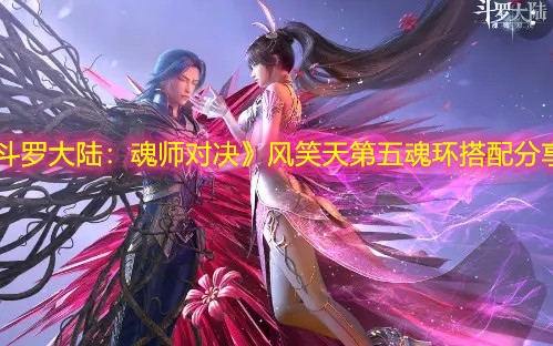 《斗罗大陆：魂师对决》风笑天第五魂环搭配分享