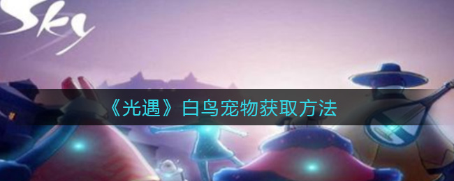 《光遇》白鸟宠物获取方法