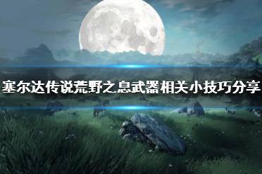 《塞尔达传说荒野之息》小技巧有哪些