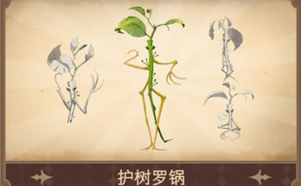 《哈利波特魔法觉醒》护树罗锅作用解析