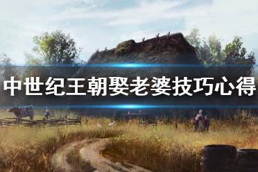 《中世纪王朝》娶老婆有什么技巧