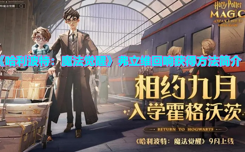 《哈利波特：魔法觉醒》弗立维回响获得方法简介