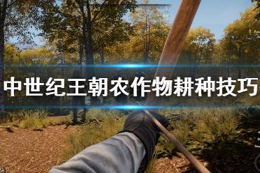 《中世纪王朝》农作物耕种技巧心得 种植有什么技巧