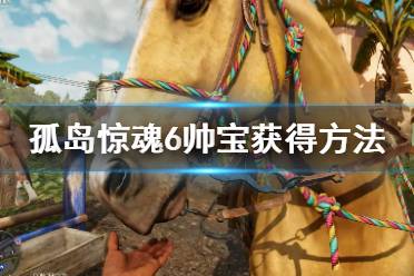 《孤岛惊魂6》帅宝怎么获得