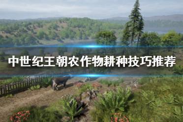 《中世纪王朝》怎么耕种