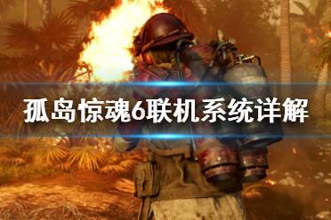 《孤岛惊魂6》联机怎么联