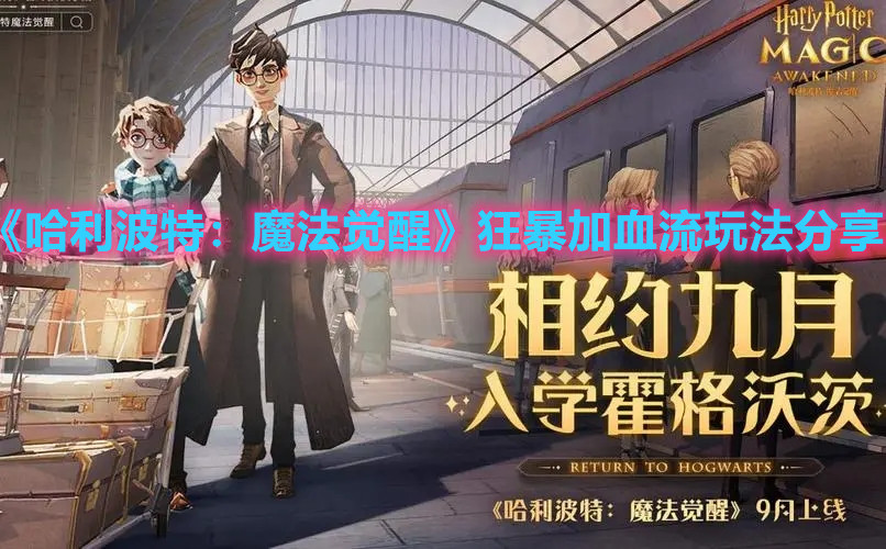 《哈利波特：魔法觉醒》狂暴加血流玩法分享