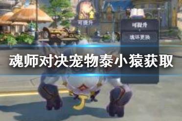 《斗罗大陆魂师对决》宠物泰小猿怎么获得 泰小猿获取方法