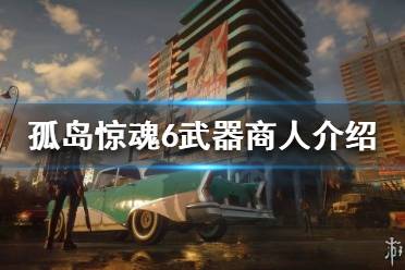 《孤岛惊魂6》武器商人在哪