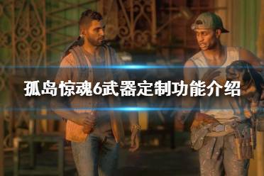 《孤岛惊魂6》武器可以定制吗