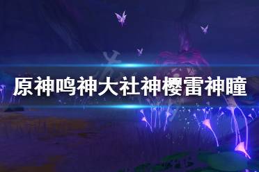 《原神》鸣神大社神樱雷神瞳怎么拿