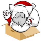 飞天圣诞猫游戏