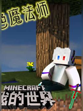 我的世界暮色魔法师