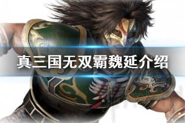 《真三国无双霸》魏延怎么样 魏延羁绊及技能介绍