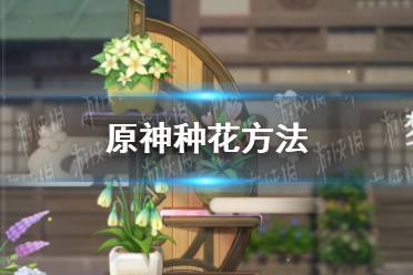 《原神》怎么种花 原神种花方法