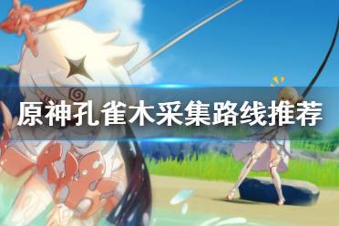 《原神》孔雀木哪里最多