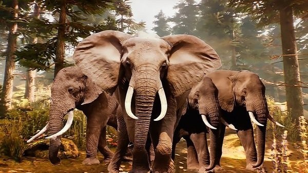 丛林狙击兵狩猎截图