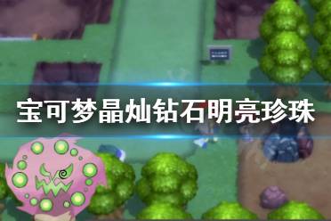 《宝可梦晶灿钻石明亮珍珠》花岩怪去哪找