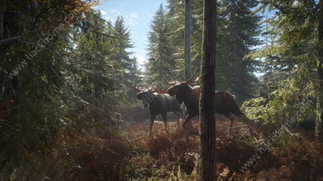 猎人野性的呼唤截图