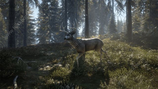 猎人野性的呼唤截图