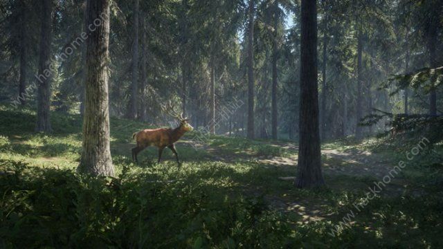 猎人野性的呼唤截图