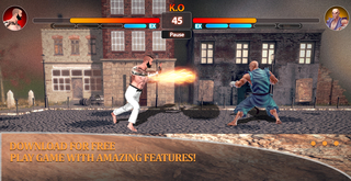 Vienneau Super KO截图