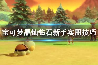 《宝可梦晶灿钻石明亮珍珠》新手实用技巧分享 玩法有什么技巧