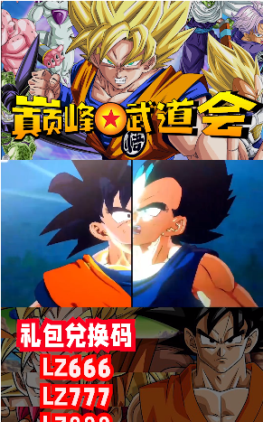 巅峰武道会截图