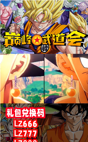 巅峰武道会截图