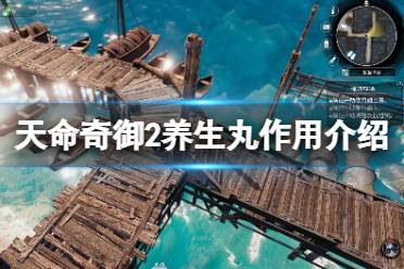 《天命奇御2》养生丸有什么用