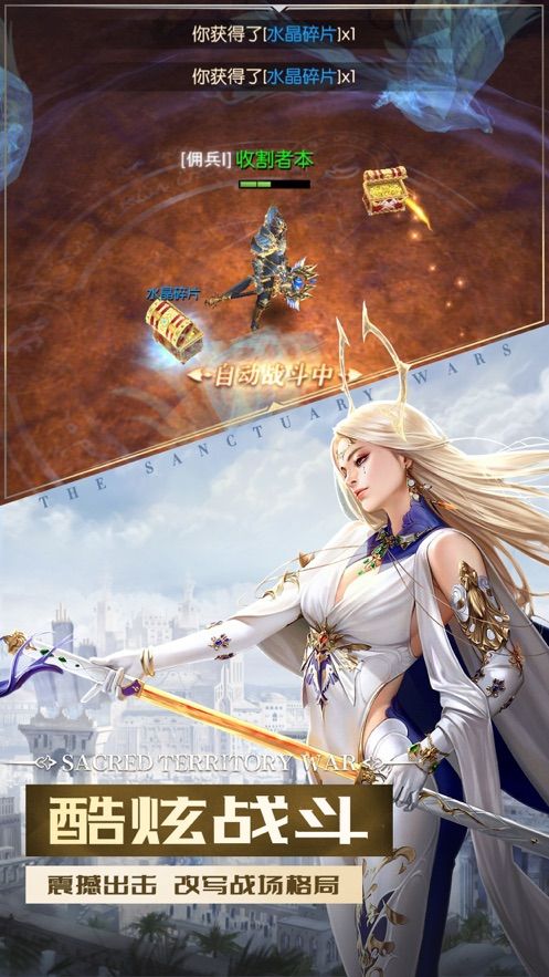 圣域战记截图
