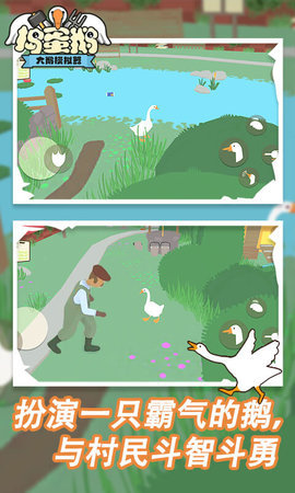 加拿大鹅游戏截图