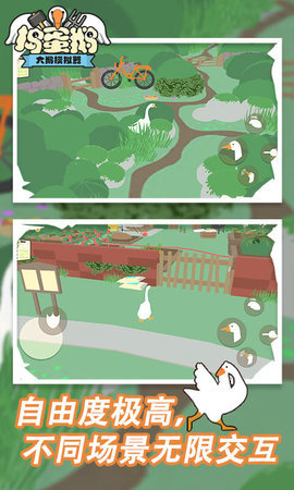 加拿大鹅游戏截图