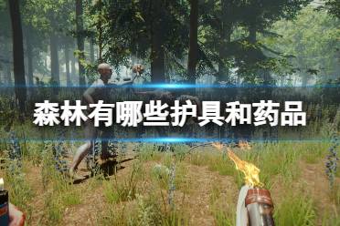 《森林》有哪些护具和药品